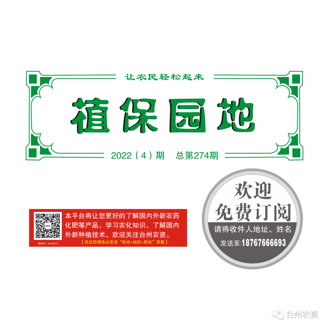 氣溫驟降，大棚西瓜做好以下幾點工作